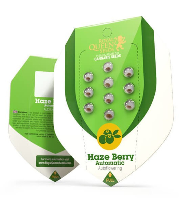 Haze Berry Auto VÝPRODEJ
