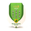 Royal Cookies Autoflowering VÝPRODEJ