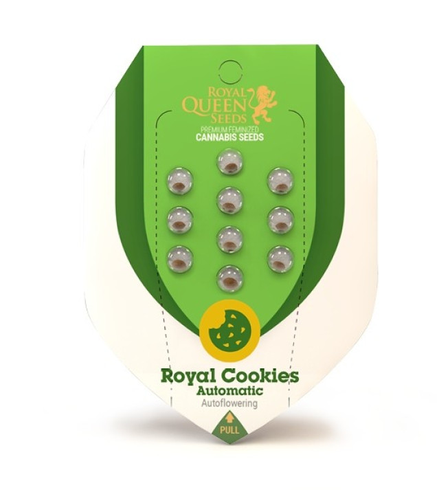 Royal Cookies Autoflowering VÝPRODEJ