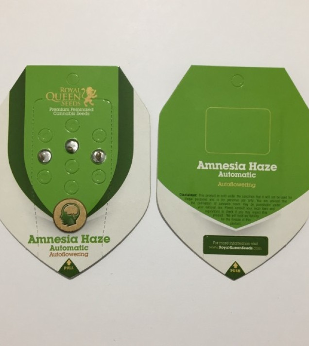 Amnesia Haze Automatic VÝPRODEJ