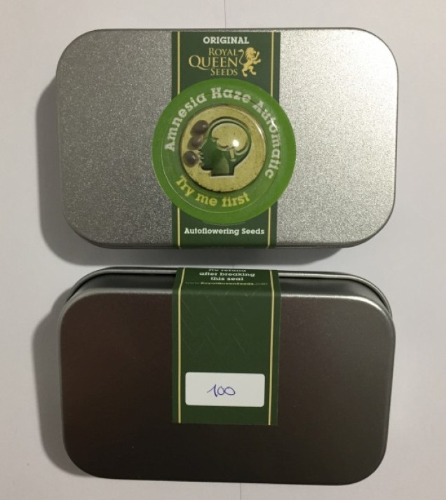 Amnesia Haze Automatic VÝPRODEJ