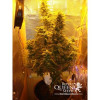 Amnesia Haze Automatic VÝPRODEJ