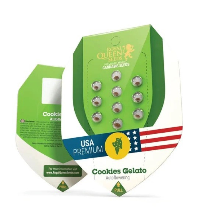 Cookies Gelato Auto VÝPRODEJ