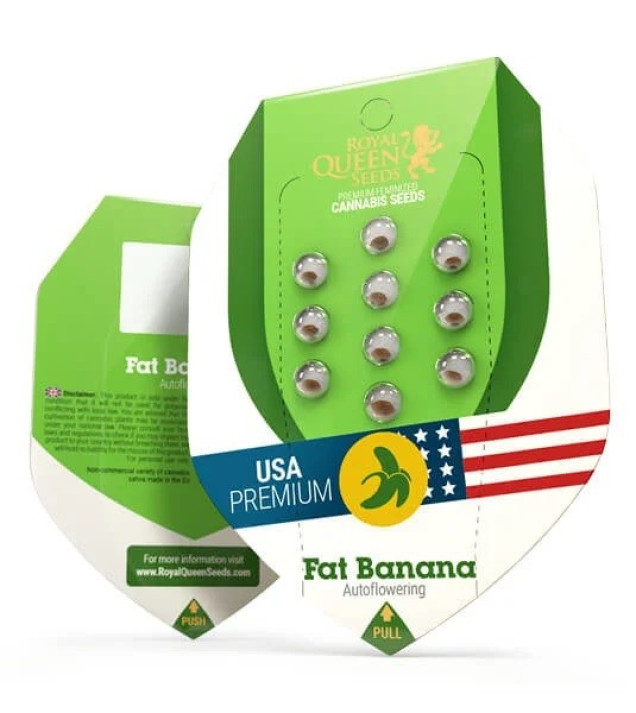 Fat Banana Automatic VÝPRODEJ
