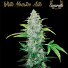 White Monster Auto