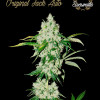 Original Jack Auto