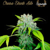 Cheese Skunk Auto