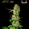AK 470 Auto