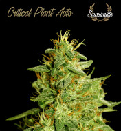 Critical Plant Auto