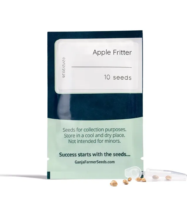 Apple Fritter