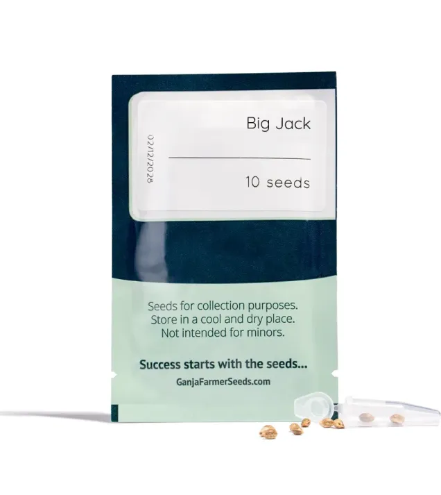 Big Jack