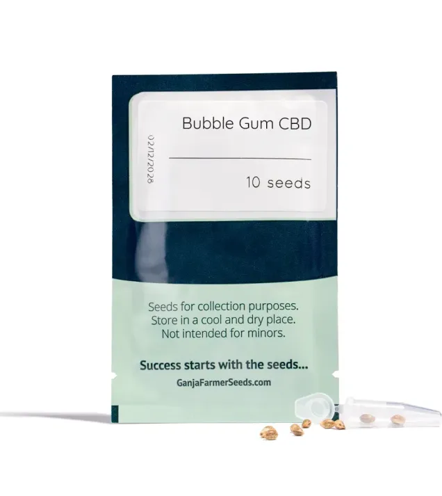 Bubble Gum CBD
