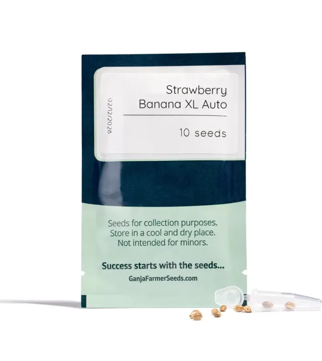 Strawberry Banana XL Auto