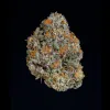 Potion