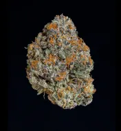 Potion
