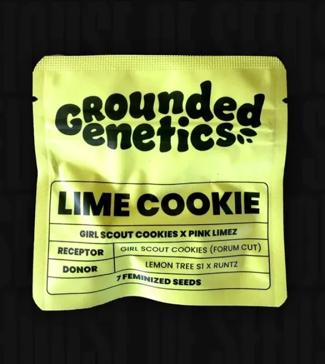 Lime Cookie