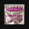 Pink Giraffe