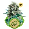 Bubble Kush Automatic V&Yacute;PRODEJ