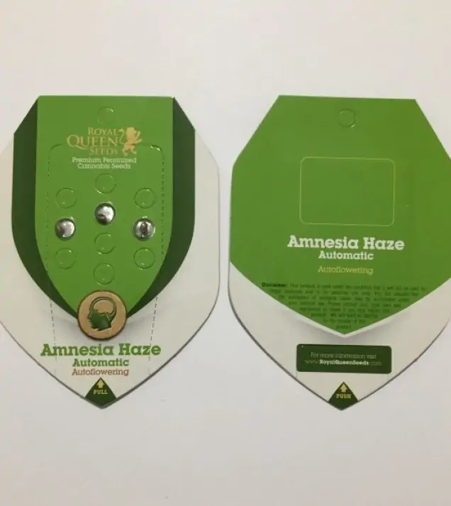 Amnesia Haze Automatic V&Yacute;PRODEJ