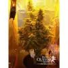 Amnesia Haze Automatic V&Yacute;PRODEJ