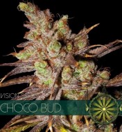 Choco Bud