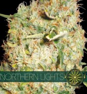 Northern Lights