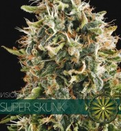 Super Skunk