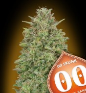 00 Skunk