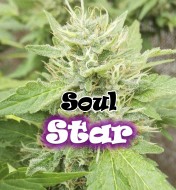 Soul Star