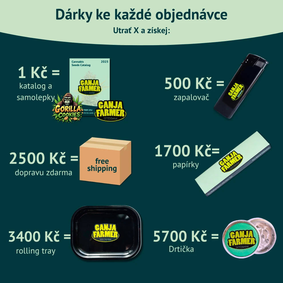 dárky a bonusy