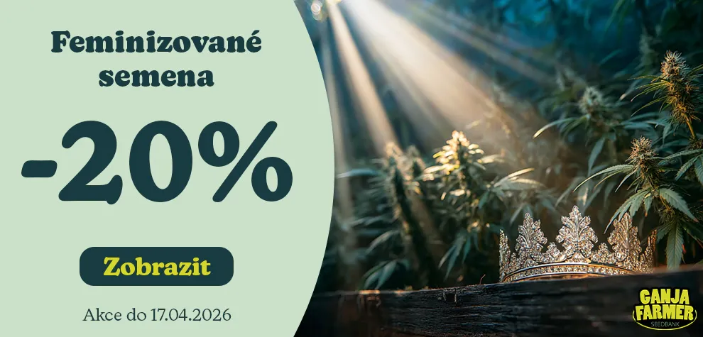 Feminizovan&aacute; semena konop&iacute; -20%
