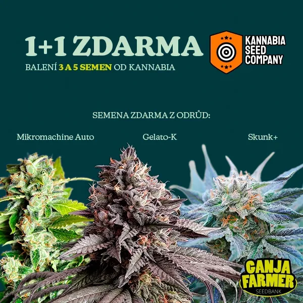 Kannabia 1+1