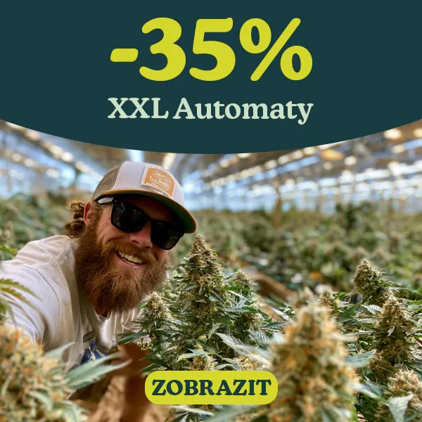 -35% Samonakv&eacute;tac&iacute; semena marihuany XXL