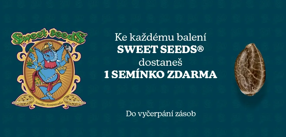 Zdarma sem&iacute;nko Sweet Seeds