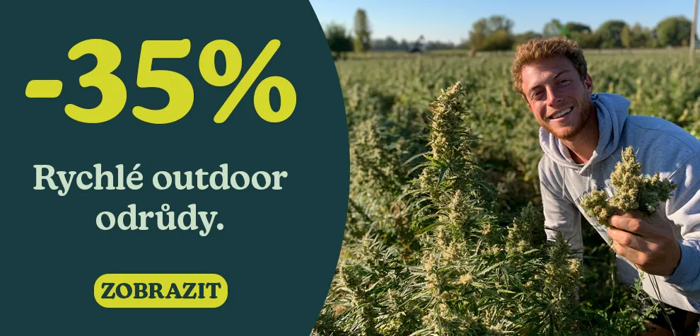-35% Rychlerostouc&iacute; odrůdy konop&iacute; Outdoor