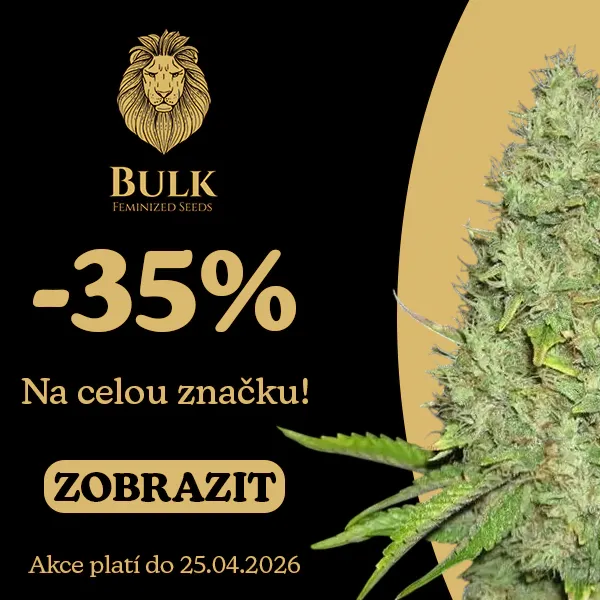 Bulk Feminized Seeds