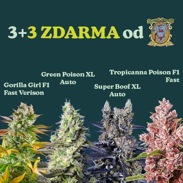 Sweet Seeds Promo