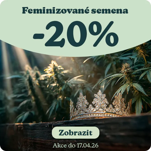 Feminizovan&aacute; semena konop&iacute; -20%