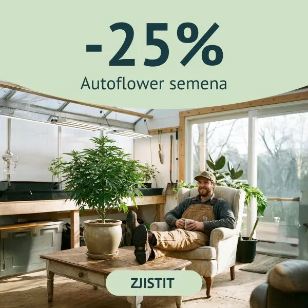 -25 % SEM&Iacute;NKA AUTOMATY