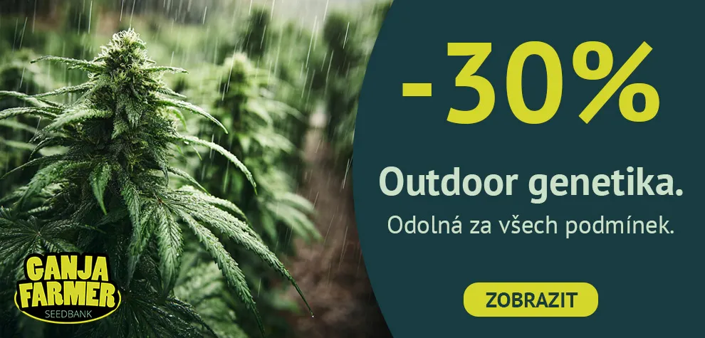 Nejlep&scaron;&iacute; Outdoor odrůdy konop&iacute;