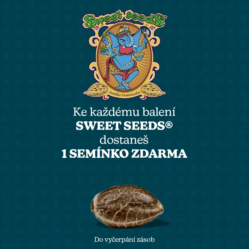 Zdarma sem&iacute;nko Sweet Seeds