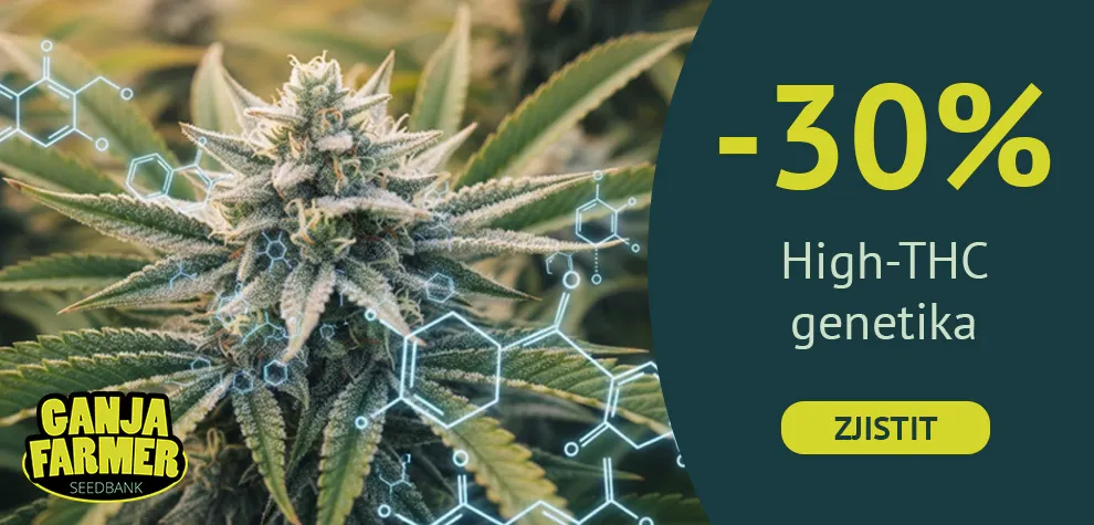 Nejsilněj&scaron;&iacute; marihuana