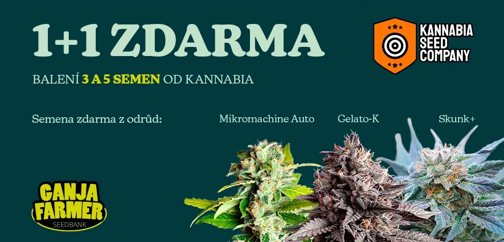 Kannabia 1+1