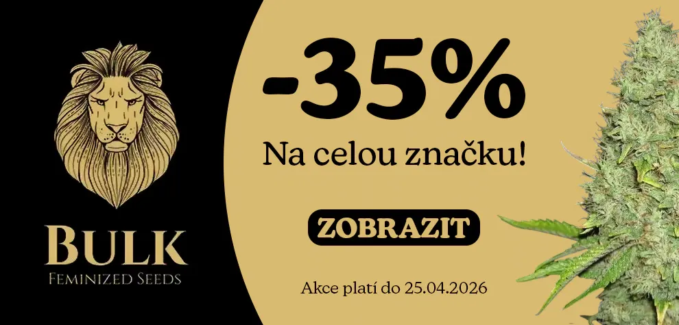 Bulk Feminized Seeds