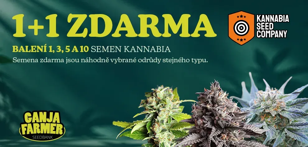 Kannabia 1+1