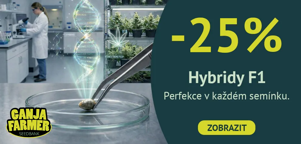 F1 semena konop&iacute;