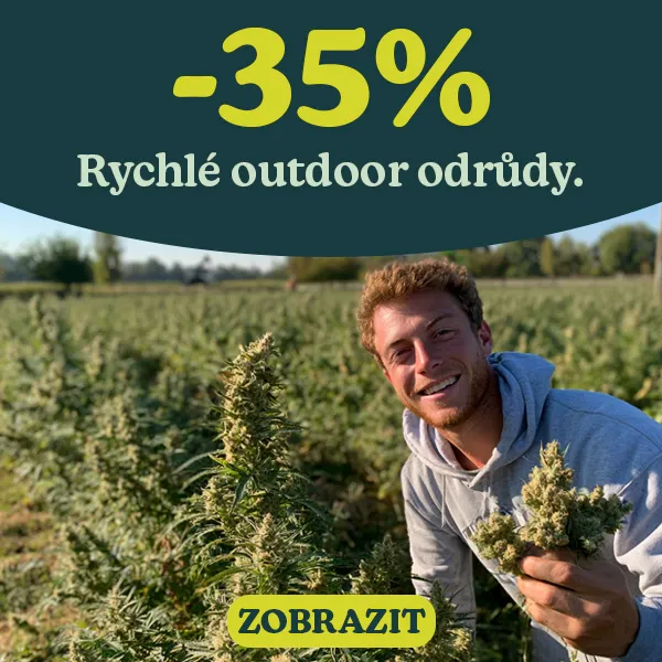 -35% Rychlerostouc&iacute; odrůdy konop&iacute; Outdoor