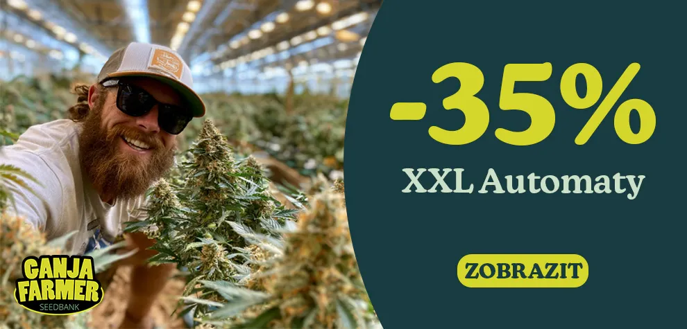 -35% Samonakv&eacute;tac&iacute; semena marihuany XXL