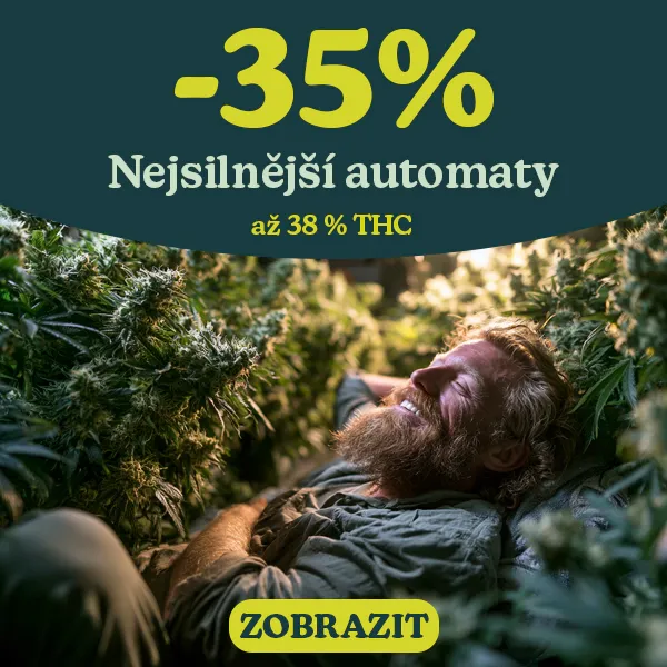 Samonakv&eacute;tac&iacute; semena konop&iacute; s vysok&yacute;m obsahem THC