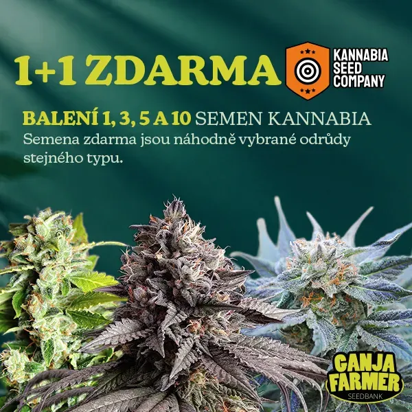 Kannabia 1+1